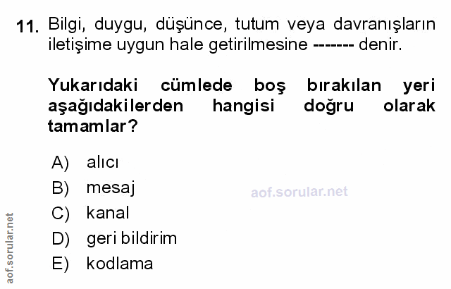 Soru 11