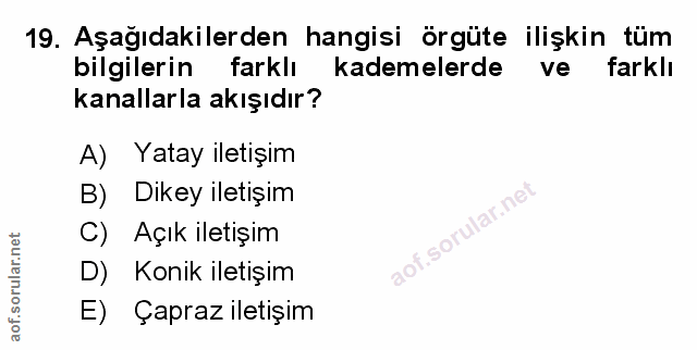 Soru 19