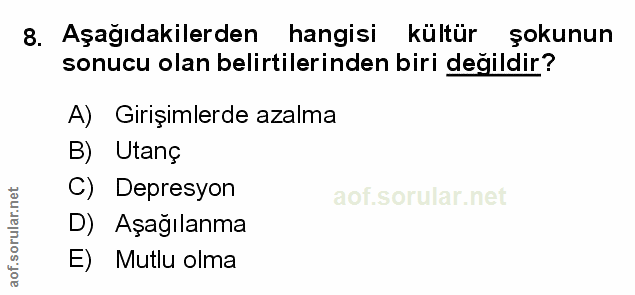 Soru 8