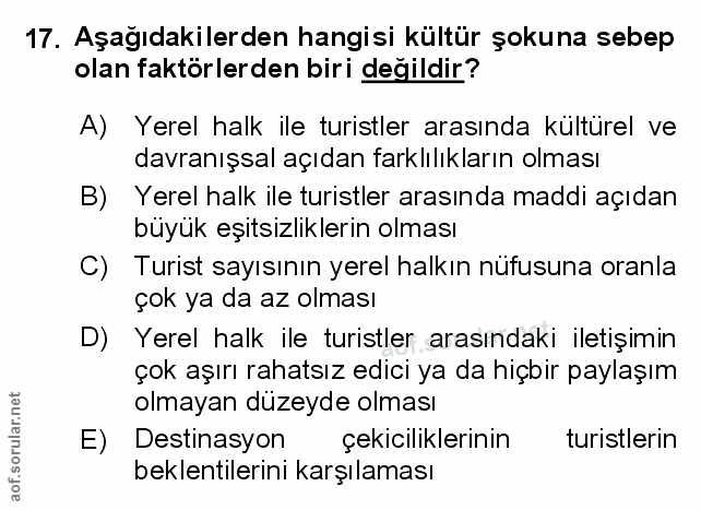 Soru 17