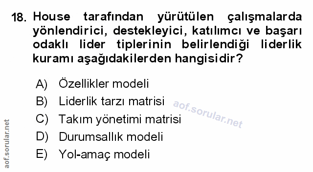 Soru 18