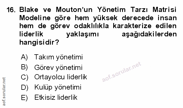 Soru 16