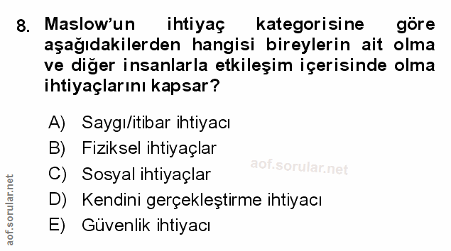 Soru 8