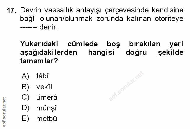 Soru 17