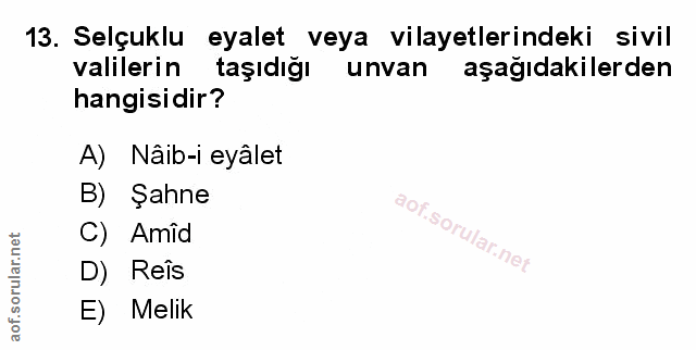 Soru 13
