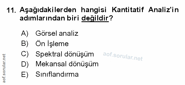 Soru 11