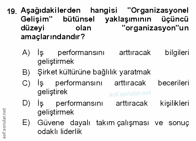 Soru 19