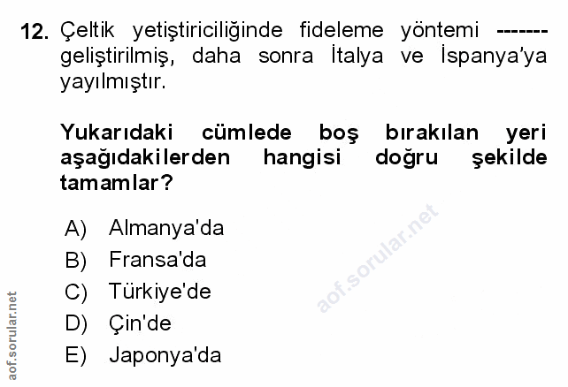 Soru 12