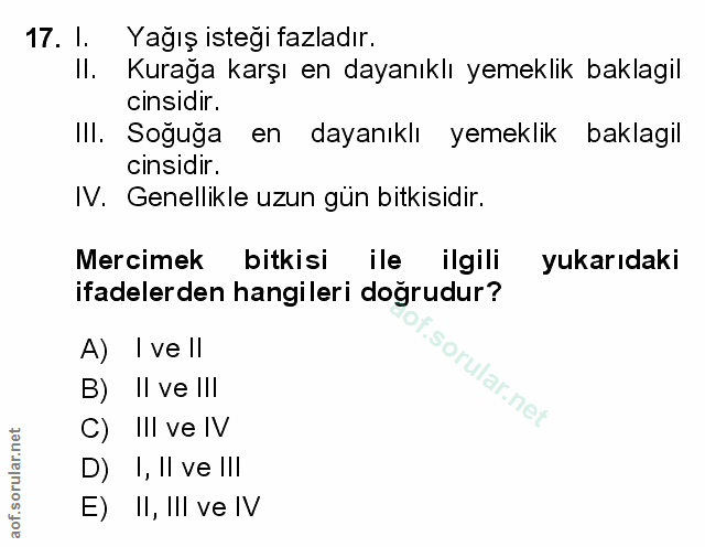 Soru 17