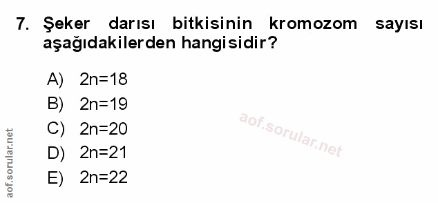 Soru 7