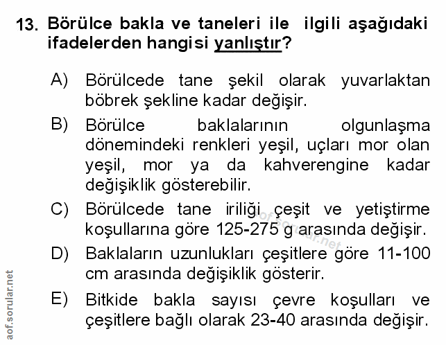 Soru 13