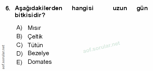 Soru 6