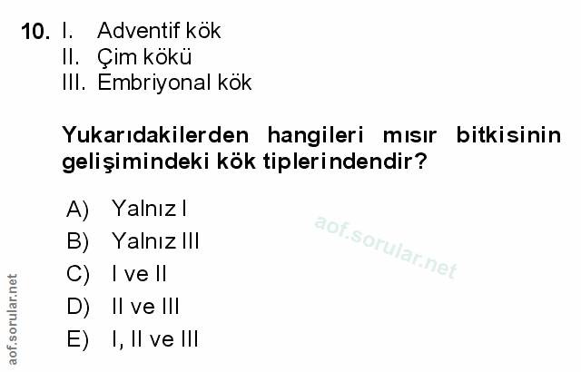 Soru 10