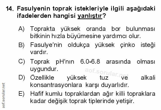 Soru 14