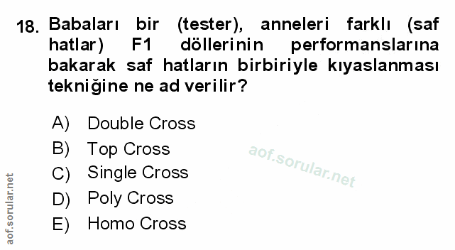 Soru 18