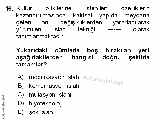 Soru 16
