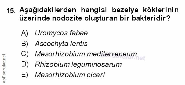 Soru 15