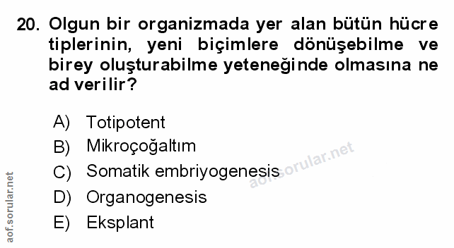 Soru 20