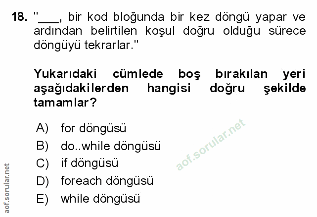 Soru 18