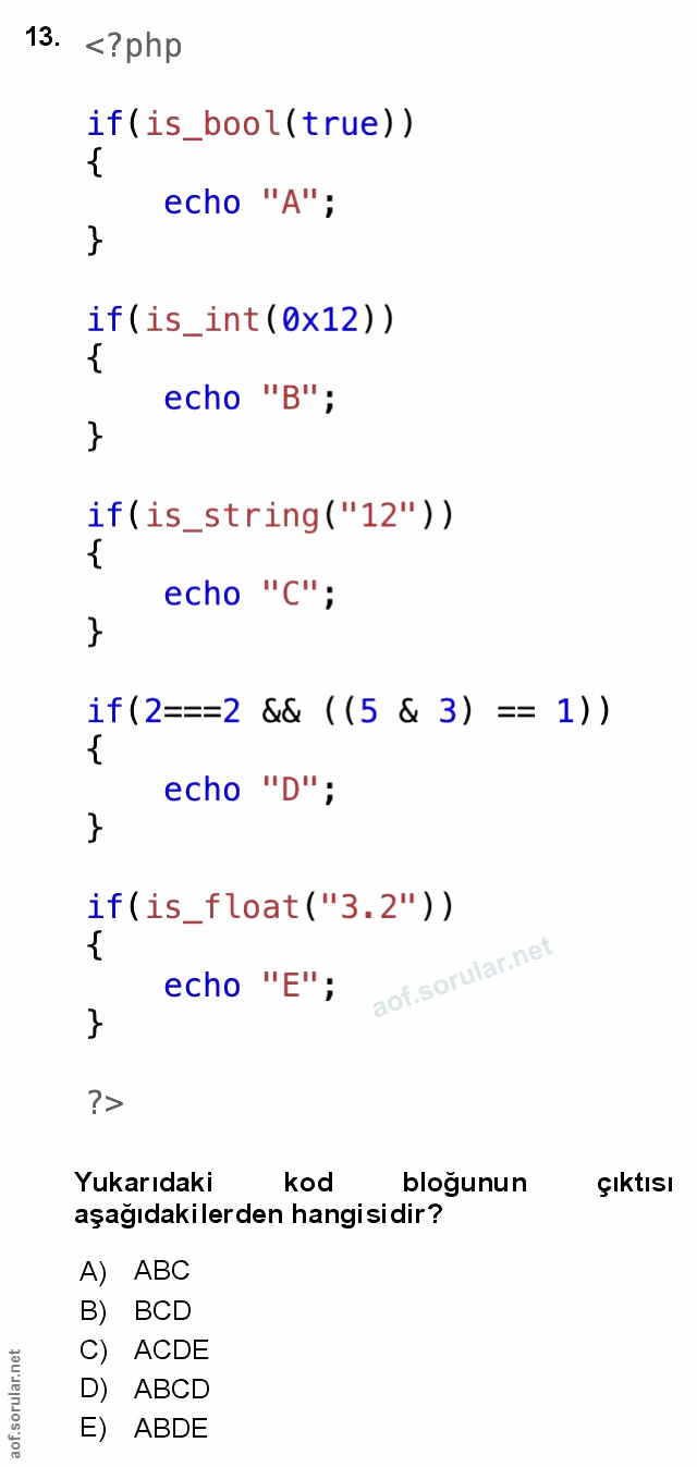Soru 13