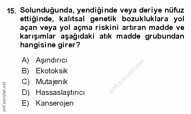 Soru 15