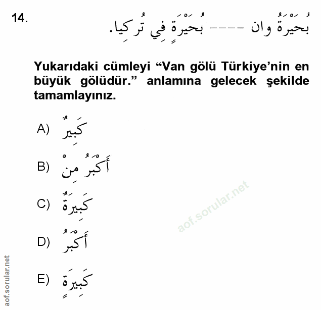 Soru 14