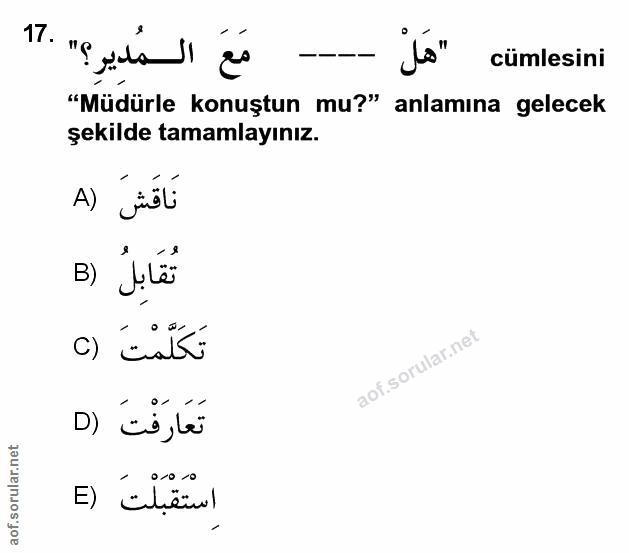 Soru 17