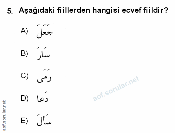 Soru 5