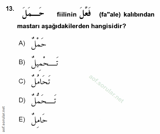 Soru 13
