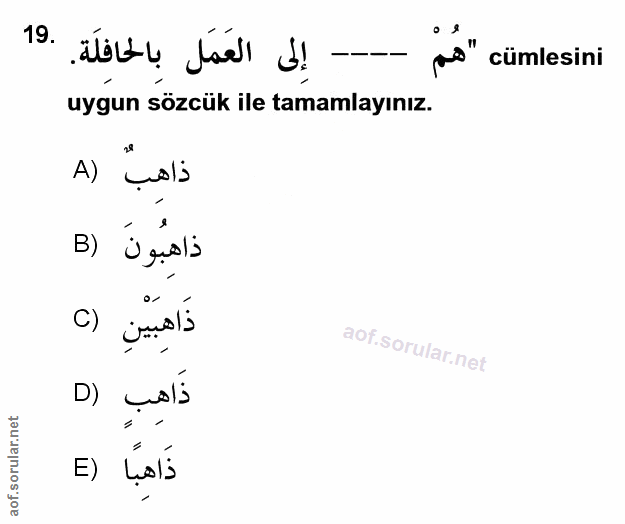 Soru 19