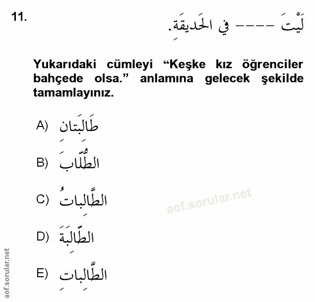 Soru 11