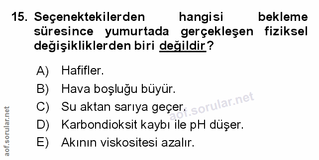 Soru 15