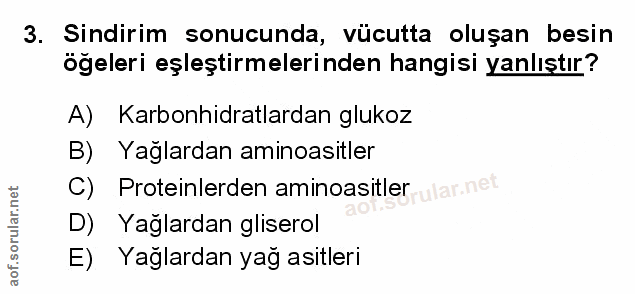 Soru 3