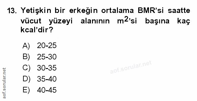 Soru 13