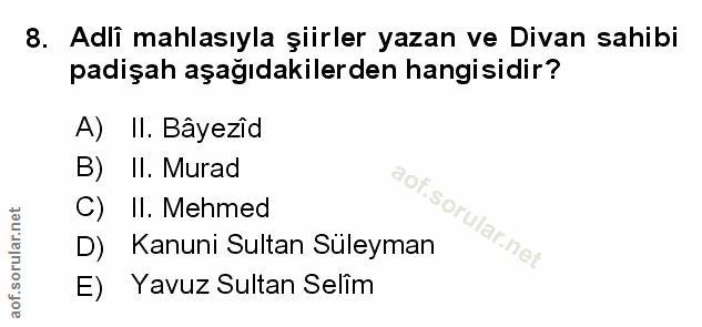 Soru 8