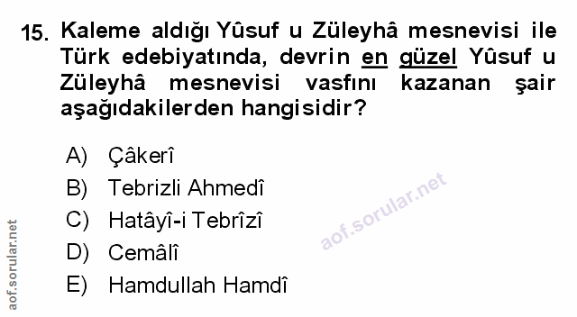 Soru 15