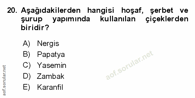 Soru 20