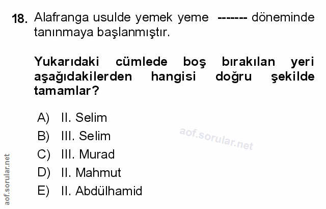 Soru 18