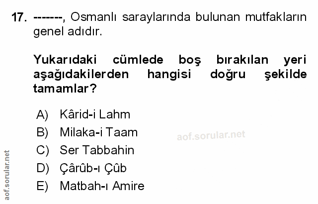 Soru 17