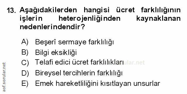 Soru 13