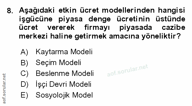 Soru 8