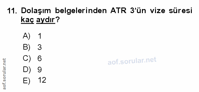 Soru 11