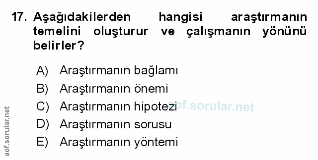 Soru 17