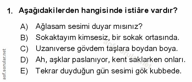 Soru 1