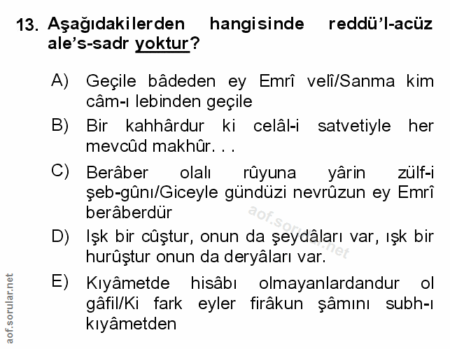 Soru 13