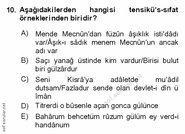 Soru 10