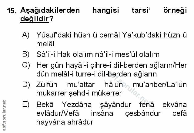 Soru 15