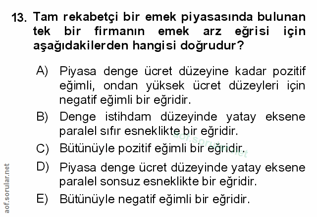 Soru 13