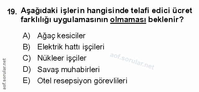 Soru 19