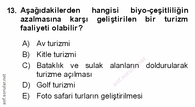 Soru 13